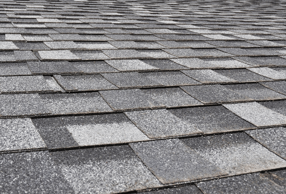 Granule Loss Asphalt Shingles Denver, Co