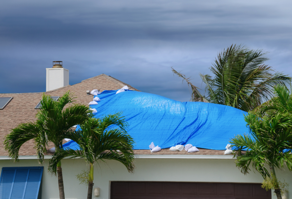 Roof Tarp
