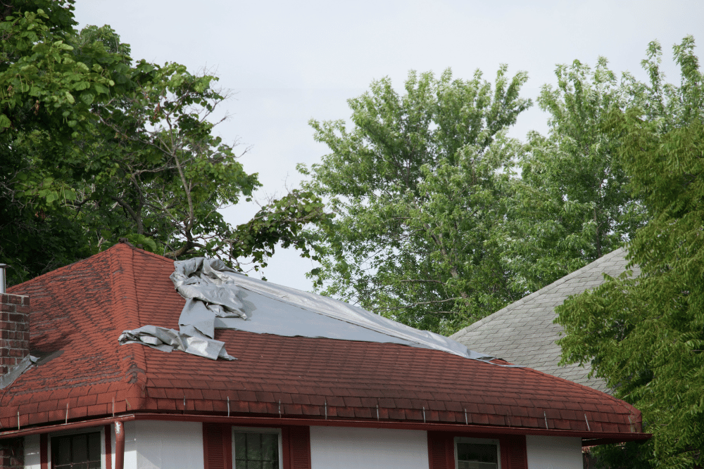 Shingle Roof During Repair in Denver, CO